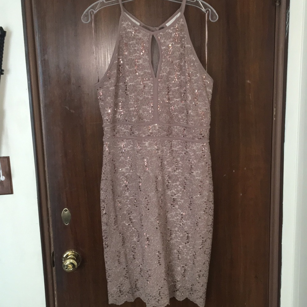 Dress Barn Tan lace and sparkly dress